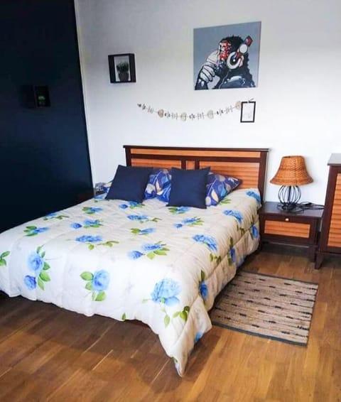 Appartement Spacieux face à la Loire jardin  Apartment in Blois