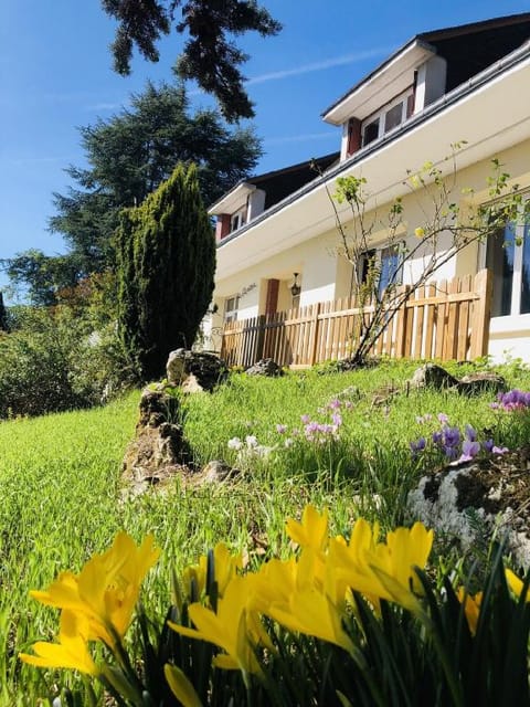 Appartement Spacieux face à la Loire jardin  Apartment in Blois