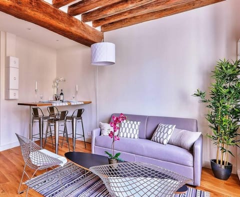 B 367 - Deluxe apartement - Saint germain des Pres Apartment in Paris