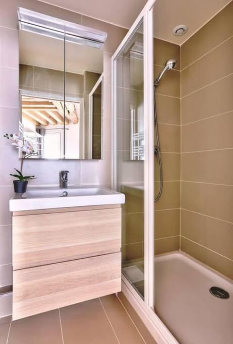 B 367 - Deluxe apartement - Saint germain des Pres Apartment in Paris