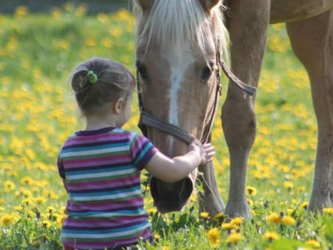 Gemutliches Appartement in Brusow mit Garten Vacation rental in Mecklenburg-Vorpommern, Germany