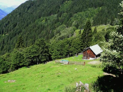 Chalet in Obervellach in Carinthia Vacation rental in Carinthia, Austria