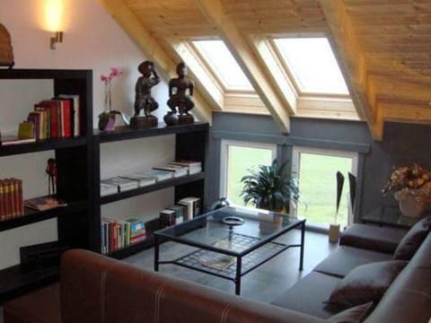 Beautiful villa with heated outdoor pool Villa in Manhay