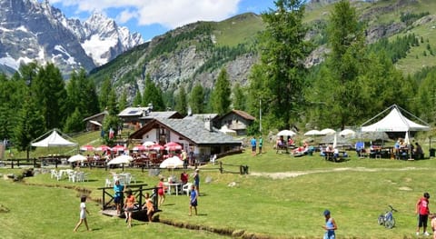 Ski Retreat, Slopes of Cervinia Apartment in Breuil-Cervinia