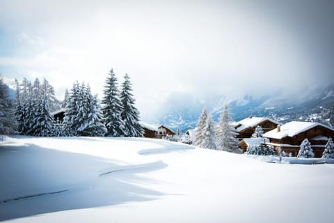 Appartement Cosy et Rénové au Cœur de la Station ! Apartment in Crans-Montana