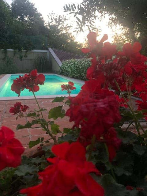 Villa AYA - with sauna and outdoor swimming pool Apartment in Mostar