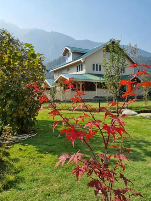Property view