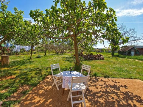 Apartment 407 Apartment in Fažana