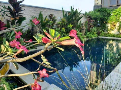 Simple, Clean and Cozy Place in Tanah Lot Area Apartment in Kediri