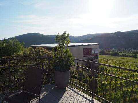 Weingut & Gästehaus Andreas Erz Apartment in Trier-Saarburg
