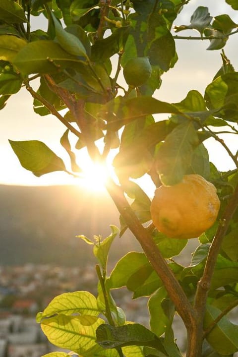 HelloSky Apartment Mostar Apartment in Mostar