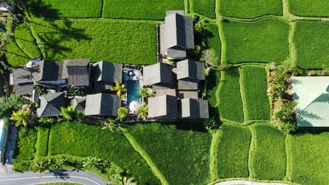 Ananda JJ Ubud Resort & spa Resort in Ubud