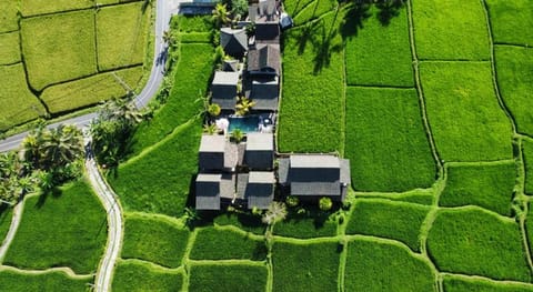 Ananda JJ Ubud Resort & spa Resort in Ubud