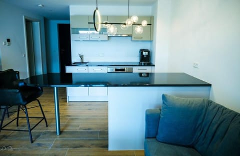 Wohlfühl Apartment an Schweizer Grenzübergang Apartment in Weil am Rhein