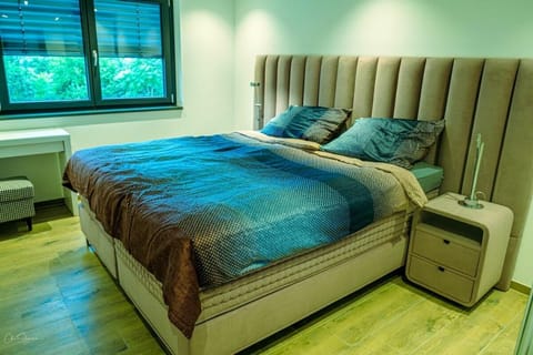 Wohlfühl Apartment an Schweizer Grenzübergang Apartment in Weil am Rhein