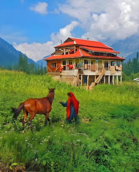 Property view