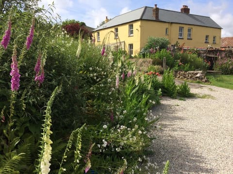 Frizenham Farmhouse B&B Bed and Breakfast in North Devon District
