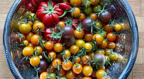 Frizenham Farmhouse B&B Bed and Breakfast in North Devon District