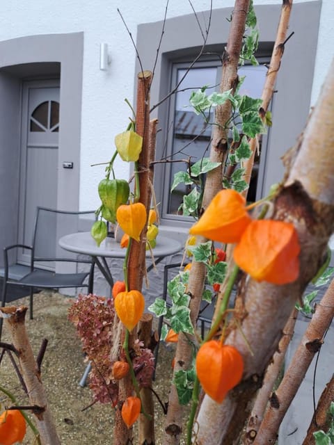 D'un coin à l'autre Vacation rental in Wallonia, Belgium