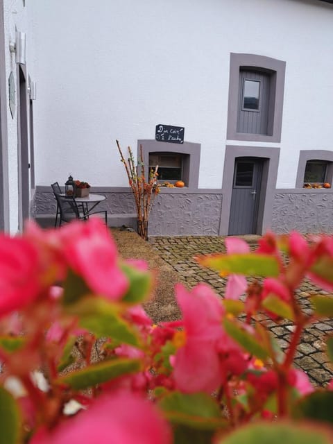 D'un coin à l'autre Vacation rental in Wallonia, Belgium