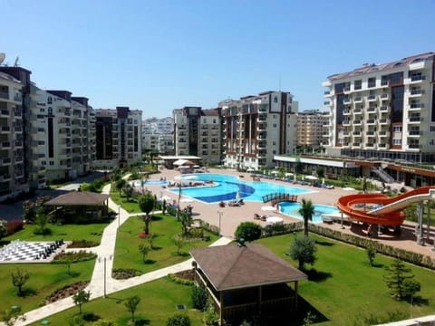 Property view