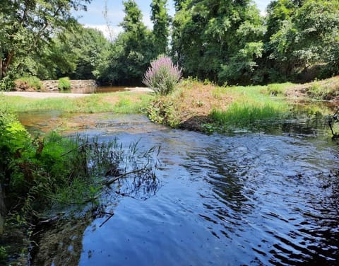 Alojamento Rio Neiva- dois.m a pé da Praia Fluvial Vacation rental in Viana do Castelo District