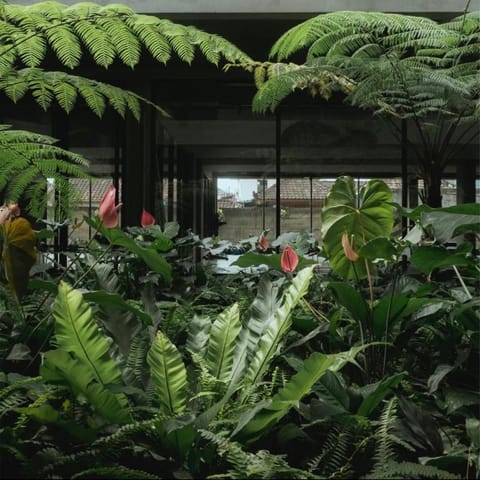 THE AMBENGAN TENTEN STUDIO SUITE MONTHLY RENT Apartment in Denpasar