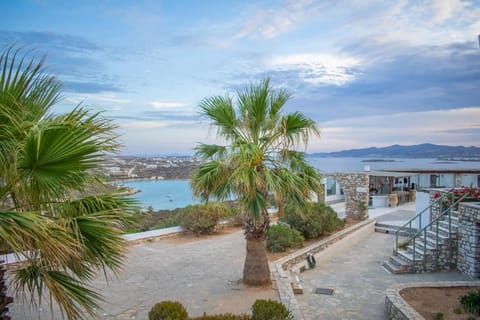 Irenes View Apartments Villa 7 - 4 guests with pool and sea view in Agia Irini Apartment in Paros, Greece