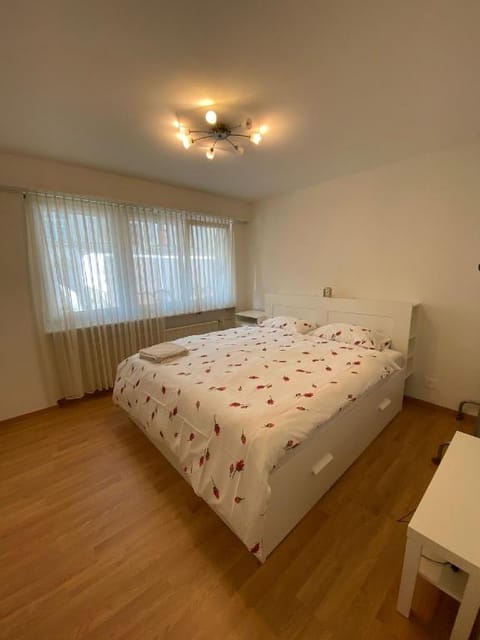 Entire Guest House in Center of Basel Apartment in Basel