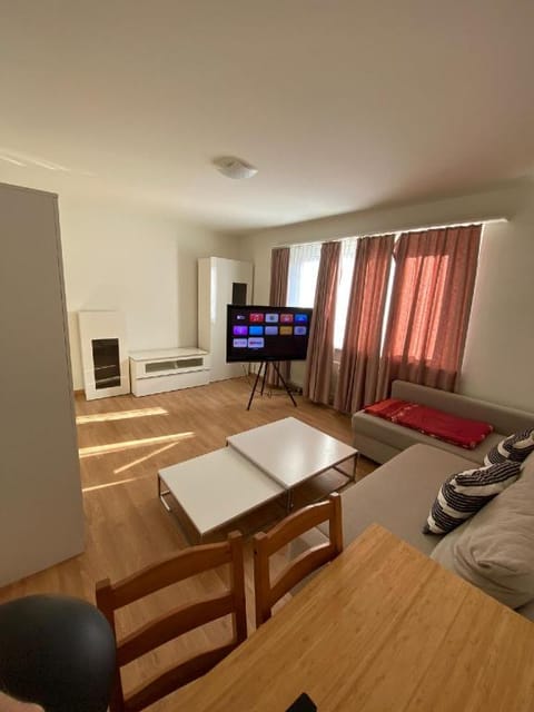 Entire Guest House in Center of Basel Apartment in Basel