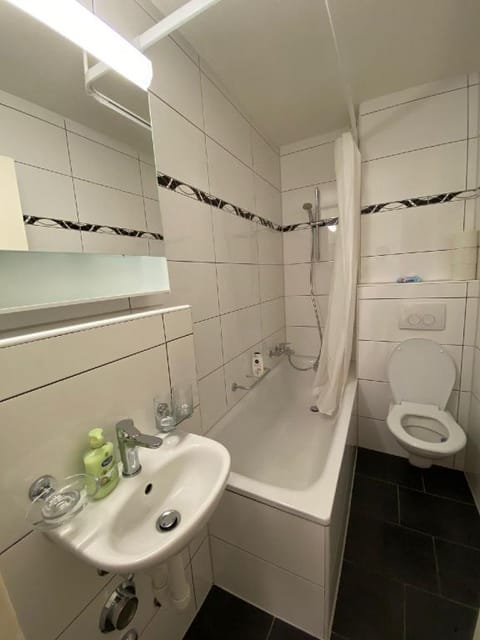 Entire Guest House in Center of Basel Apartment in Basel