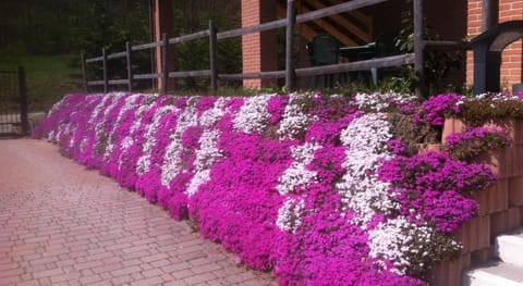Agriturismo Altana del Motto Rosso Apartment in Lombardy