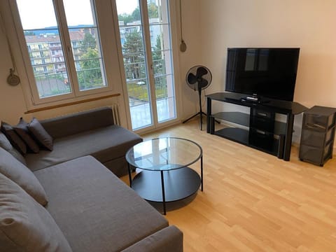 Full Guest House for You, Basel City center Apartment in Basel