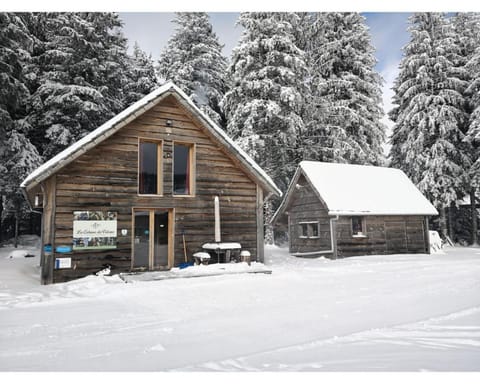 Cabanes des Volcans Chalet in Auvergne-Rhône-Alpes