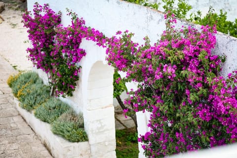 Masseria Piccole Taverne Farm Stay in Province of Taranto