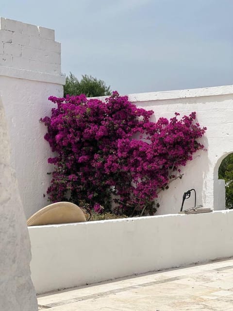 Masseria Piccole Taverne Farm Stay in Province of Taranto