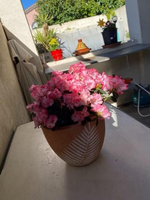 Comme à la Maison Vacation rental in Alès