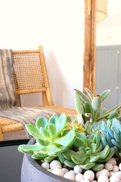 Beach Apartment Thalia with Hot Tub and Sea View Apartment in Agios Prokopios