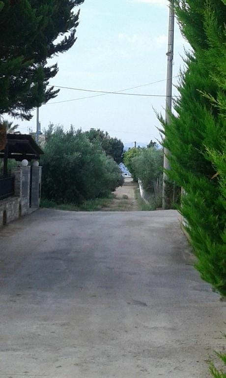 Nastro Azzurro psakoudia mare Vacation rental in Halkidiki