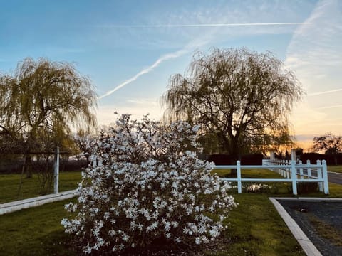 AureFées Bed and Breakfast in Normandy