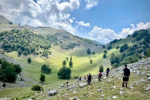 Casuta de la Munte Villa in Serbia