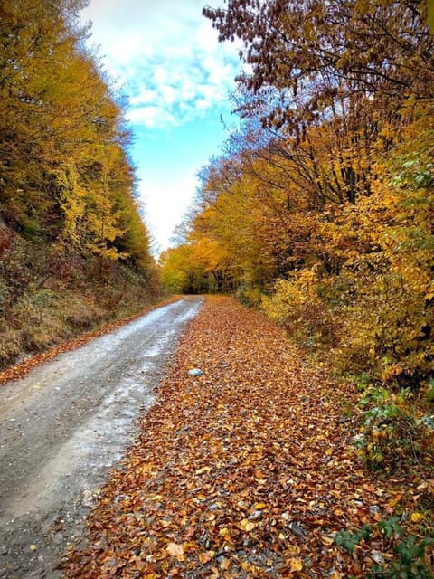 Casuta de la Munte Villa in Serbia