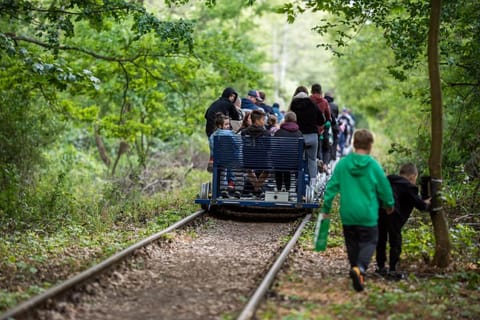Narusa Leśna Przystań Apartment in Kaliningrad Oblast, Russia