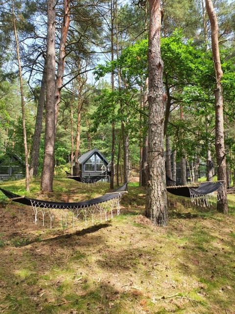 Narusa Leśna Przystań Apartment in Kaliningrad Oblast, Russia