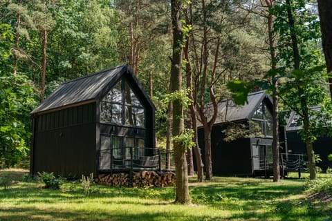 Narusa Leśna Przystań Apartment in Kaliningrad Oblast, Russia