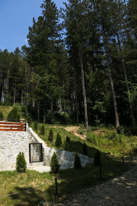 Charming 2-bedrooms duplex apartment in Kolašin Apartment in Montenegro