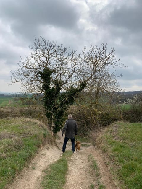 YXIE - Manoir des Arts Bed and Breakfast in Île-de-France