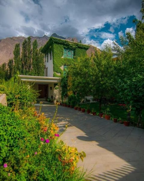 Property view