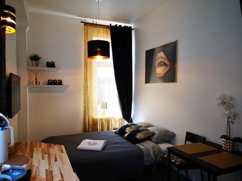 Gold & Studio Apartment in Klaipėda