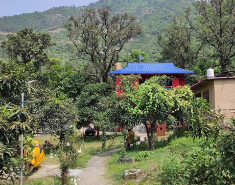 Property view